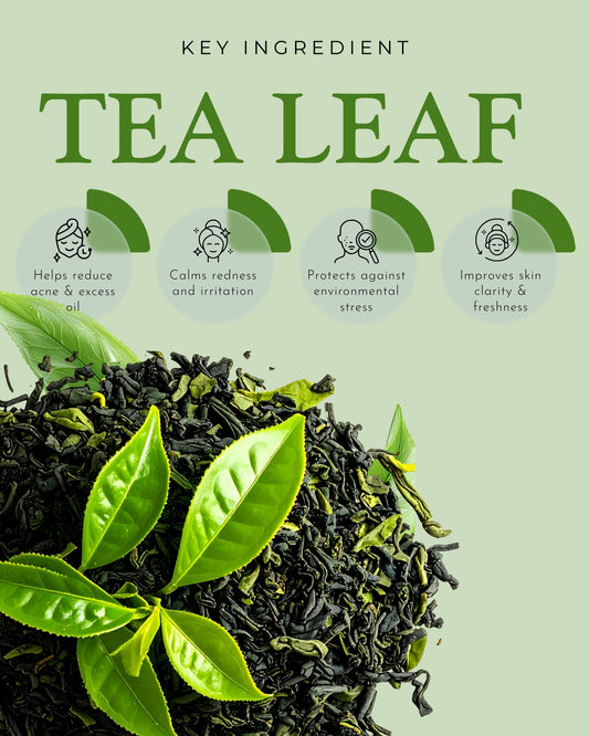 Anti Acne Cream - Elevation Beauty