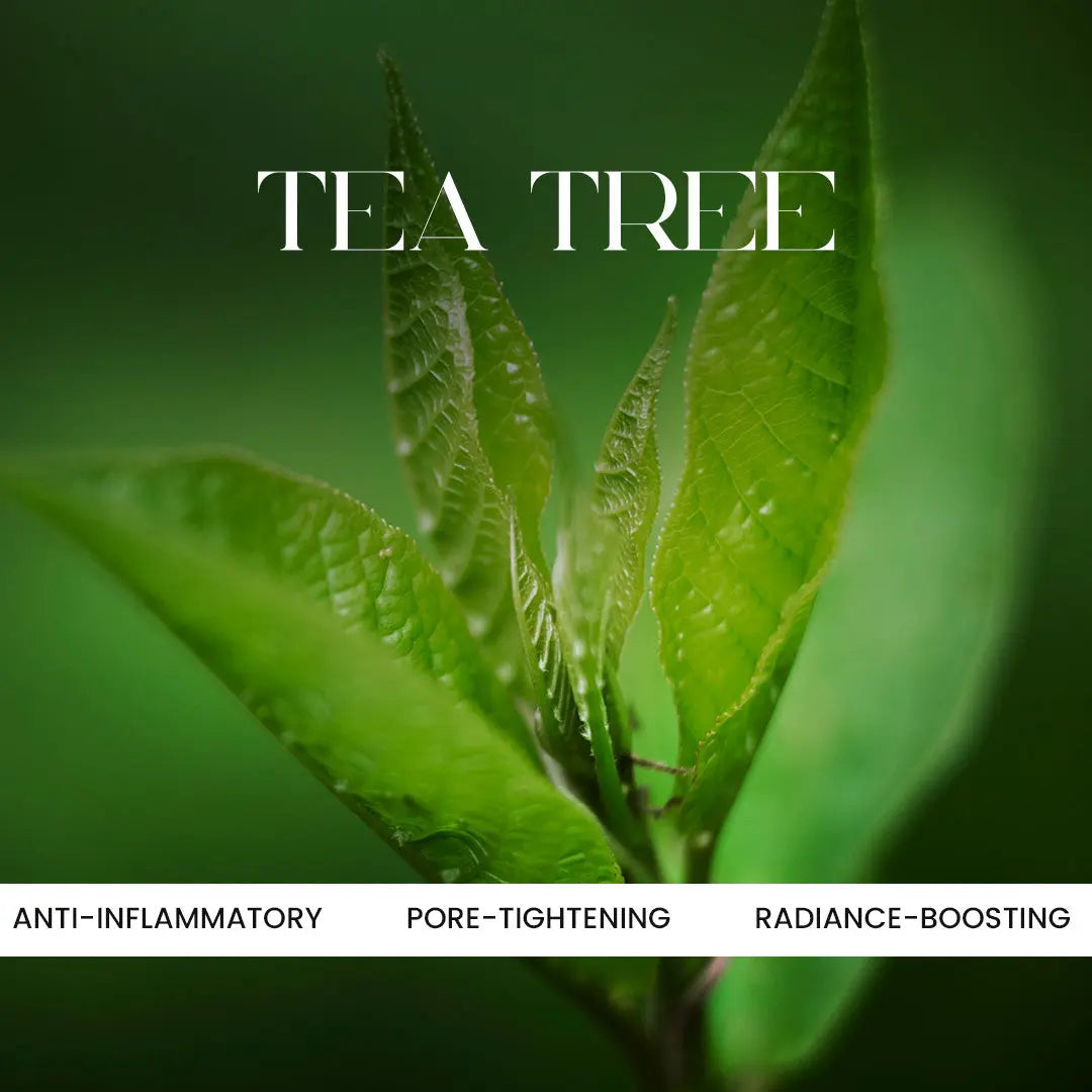 Acne Cream in Pakistan