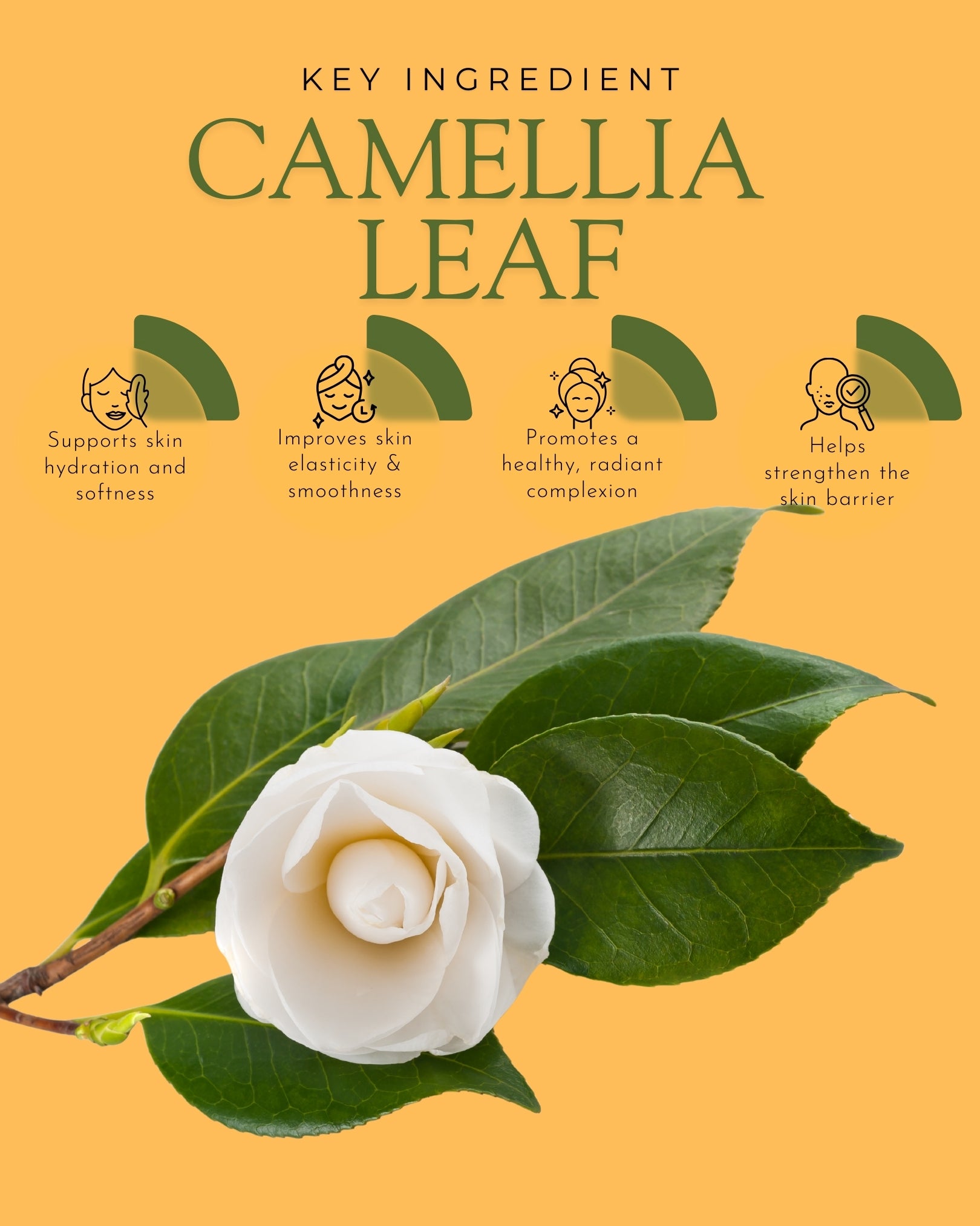 Elevation Sunblock SPF 60 - Elevation Beauty 