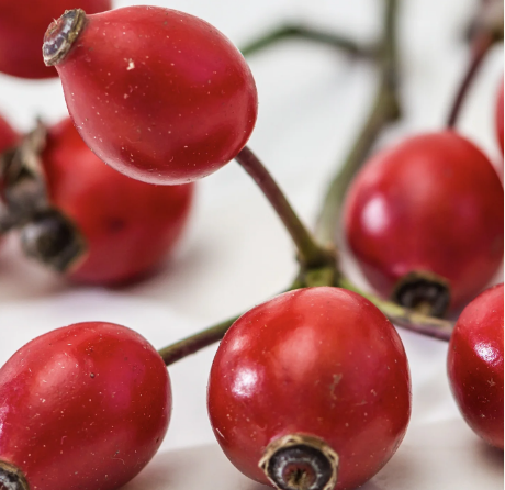 Rosehip Oil